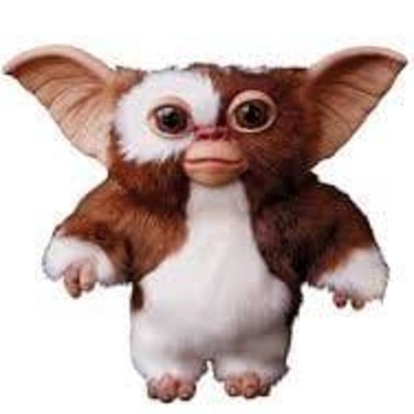 Meet your Posher, Joshua - Picture 1 of 1